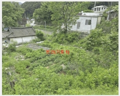  2025Ÿ��10217 �泲 ��õ�� ���߸� ġ�θ� 513      ����(����)���