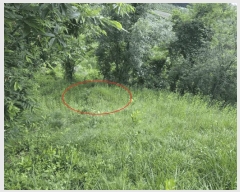  2025Ÿ��10223  �����