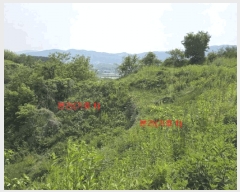  2025Ÿ��10223  �����