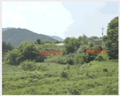  2025Ÿ��10223  �����