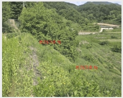  2025Ÿ��10223  �����