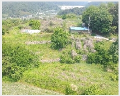  2025Ÿ��10223  �����