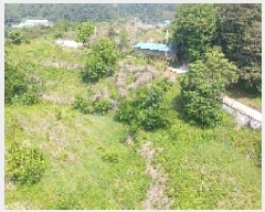  2025Ÿ��10223  �����