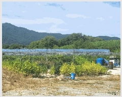  2025Ÿ10225 泲 â â 帮 1053      ()