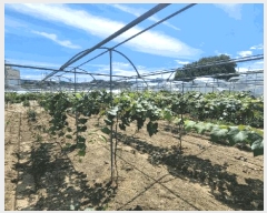  2025Ÿ10225 泲 â â 帮 1053      ()