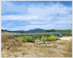  2025Ÿ10225 泲 â â 帮 1053      ()