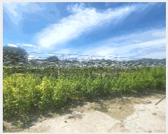  2025Ÿ10225 泲 â â 帮 1053      ()