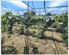  2025Ÿ10225 泲 â â 帮 1053      ()