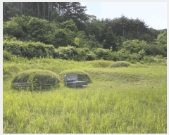  2025Ÿ��10229 �泲 �Ծ籺 ����� ���긮 131-6      ����(��)���