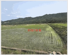  2025Ÿ��10229 �泲 �Ծ籺 ����� ���긮 131-6      ����(��)���