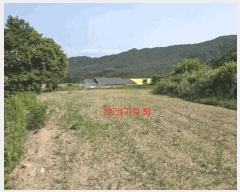  2025Ÿ��10229 �泲 �Ծ籺 ����� ���긮 131-6      ����(��)���