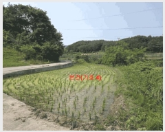  2025Ÿ��10229 �泲 �Ծ籺 ����� ���긮 131-6      ����(��)���