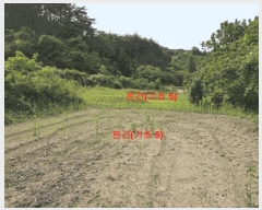  2025Ÿ��10229 �泲 �Ծ籺 ����� ���긮 131-6      ����(��)���