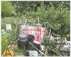  2025Ÿ��10231  �����