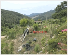  2025Ÿ��10231  �����