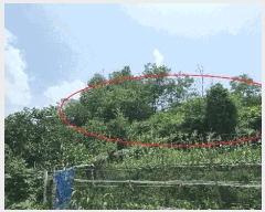  2025Ÿ��10245 �泲 ��â�� ��â�� �󸲸� ��11-2      ����(�Ӿ�)���