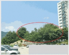  2025Ÿ��10245 �泲 ��â�� ��â�� �󸲸� ��11-2      ����(�Ӿ�)���