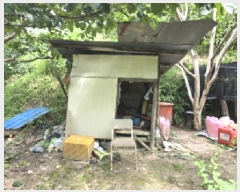  2025Ÿ��10245 �泲 ��â�� ��â�� �󸲸� ��11-2      ����(�Ӿ�)���