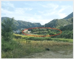  2025Ÿ��10255 �泲 ��õ�� ����� ���踮 604      ����(��1)���