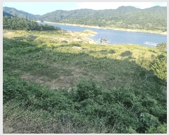  2025Ÿ��10255 �泲 ��õ�� ����� ���踮 604      ����(��1)���