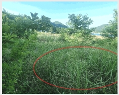  2025Ÿ��10255 �泲 ��õ�� ����� ���踮 604      ����(��1)���