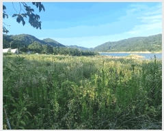  2025Ÿ��10255 �泲 ��õ�� ����� ���踮 604      ����(��1)���