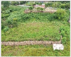  2025Ÿ��10255 �泲 ��õ�� ����� ���踮 604      ����(��1)���