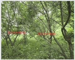  2025Ÿ��10259 �泲 ��õ�� ���� ��ϸ� 916      ����(��1)���