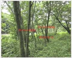  2025Ÿ��10259 �泲 ��õ�� ���� ��ϸ� 916      ����(��1)���