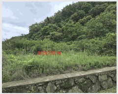  2025Ÿ��10259 �泲 ��õ�� ���� ��ϸ� 916      ����(��1)���