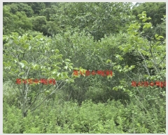  2025Ÿ��10259 �泲 ��õ�� ���� ��ϸ� 916      ����(��1)���