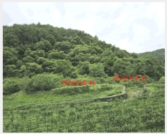  2025Ÿ��10259 �泲 ��õ�� ���� ��ϸ� 916      ����(��1)���