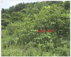  2025Ÿ��10259 �泲 ��õ�� ���� ��ϸ� 916      ����(��1)���