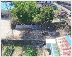  2025Ÿ��10271 �泲 ��õ�� �߷θ� ���̸� 808-2      ����(����)���