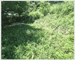  2025Ÿ��10275 �泲 �Ծ籺 ����� �󳲸� 1058      ���ð��