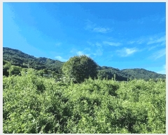  2025Ÿ��10313 �泲 ��â�� ���ϸ� ��ϸ� 507      ����(��)���