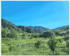  2025Ÿ��10313 �泲 ��â�� ���ϸ� ��ϸ� 507      ����(��)���