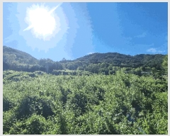  2025Ÿ��10313 �泲 ��â�� ���ϸ� ��ϸ� 507      ����(��)���