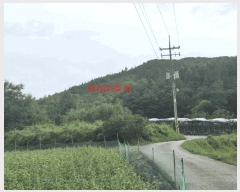  2025Ÿ��10315  �Ӿ߰��