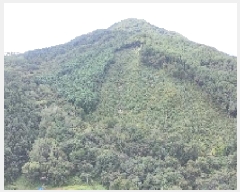  2025Ÿ��10315  �Ӿ߰��