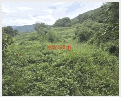  2025Ÿ��10321  �����