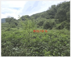  2025Ÿ��10321  �����