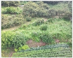  2025Ÿ��10321  �����