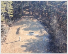  2025Ÿ��141 �泲 ��õ�� ��õ�� ��踮 ��95      ����(�Ӿ�)���