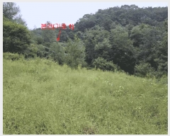  2025Ÿ��165 �泲 ��õ�� �߷θ� û�踮 119      ���(�󰡽ü�)���