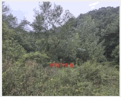  2025Ÿ��165 �泲 ��õ�� �߷θ� û�踮 119      ���(�󰡽ü�)���