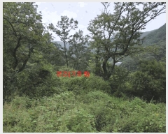  2025Ÿ��165 �泲 ��õ�� �߷θ� û�踮 119      ���(�󰡽ü�)���