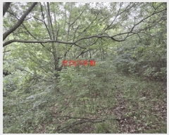  2025Ÿ��165 �泲 ��õ�� �߷θ� û�踮 119      ���(�󰡽ü�)���