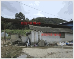  2025Ÿ��165  ���(�󰡽ü�)���