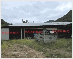  2025Ÿ��165 �泲 ��õ�� �߷θ� û�踮 119      ���(�󰡽ü�)���